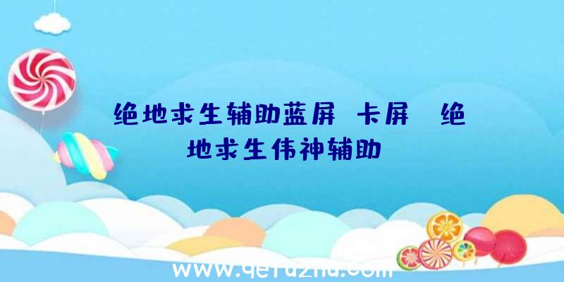 「绝地求生辅助蓝屏